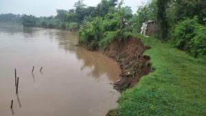 Tanggul Sungai Pemali di Brebes Kritis, Pemdes Minta Perbaikan