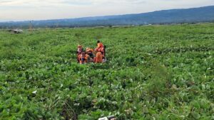 Terjebak Enceng Gondok di Tengah Badai, Lansia di Danau Rawapening Dievakuasi dalam Keadaan Selamat